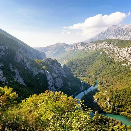 Soriano Villa Mimice